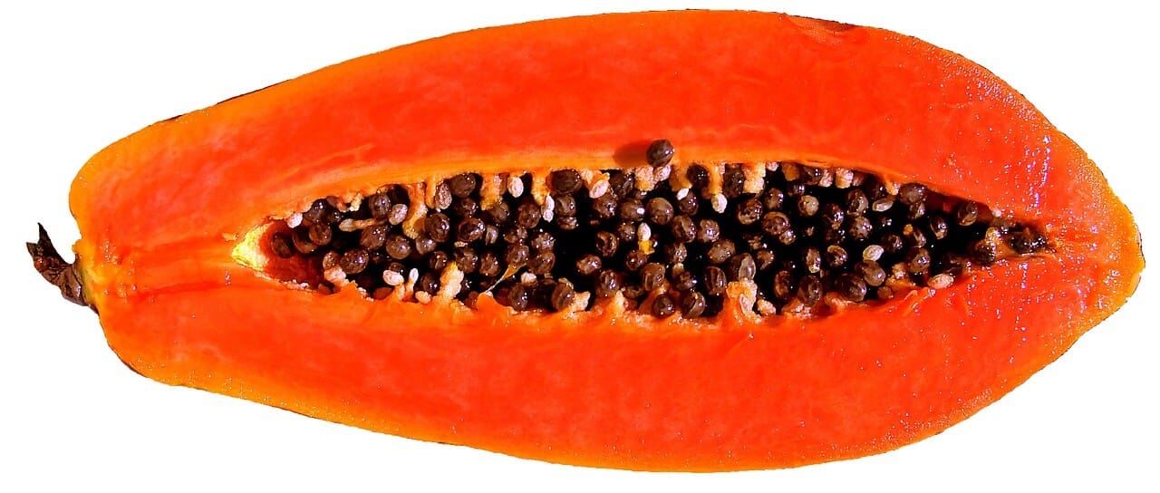 papaya untuk menghilangkan jerawat