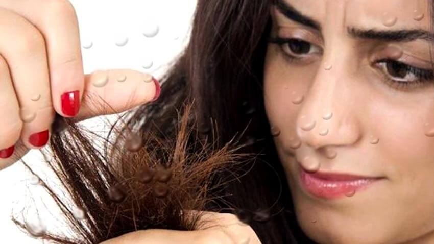 bahan alami untuk rambut bercabang
