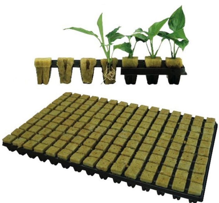 rockwool untuk hidroponik