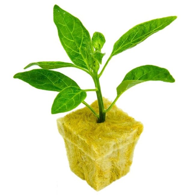 rockwool untuk media tanam